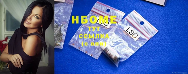 прущие грибы Белокуриха