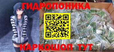 мяу мяу мука Кингисепп