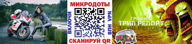 Галлюциногенные грибы Psilocybe  Урус-Мартан 