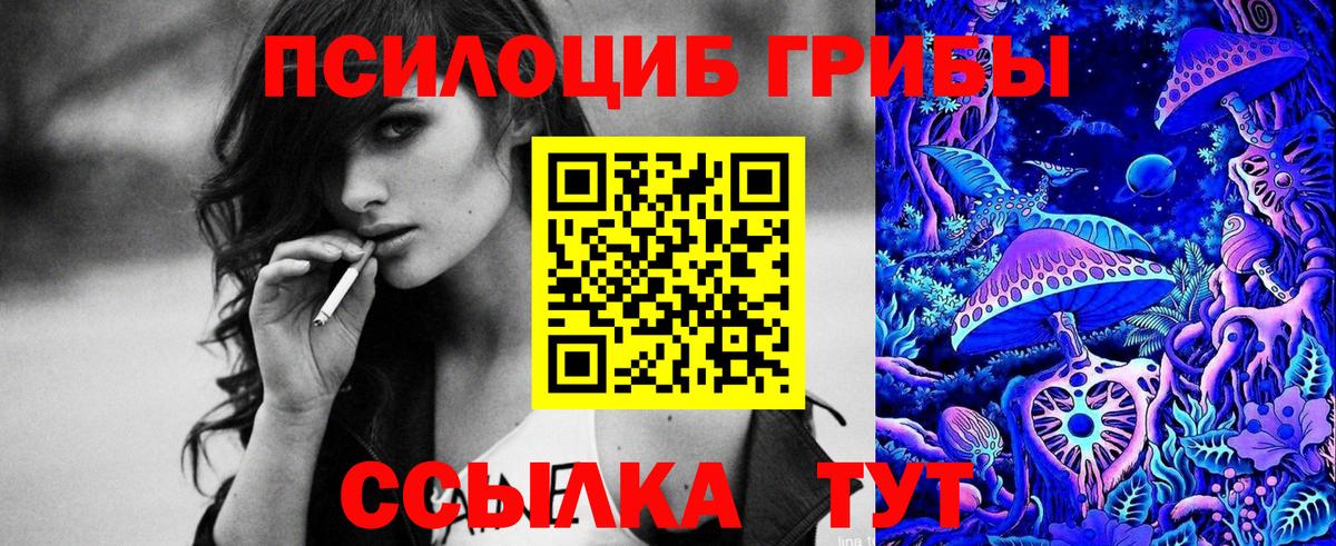 Галлюциногенные грибы Cubensis  Вход с VPN  Урус-Мартан  Псилоцибиновые грибы Cubensis 