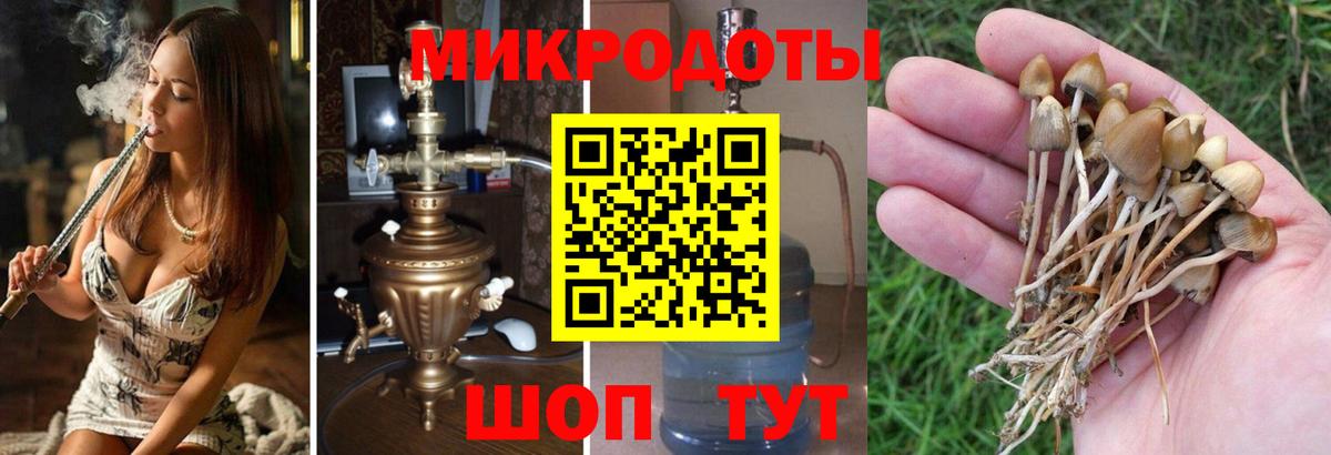 Псилоцибиновые грибы мухоморы Урус-Мартан